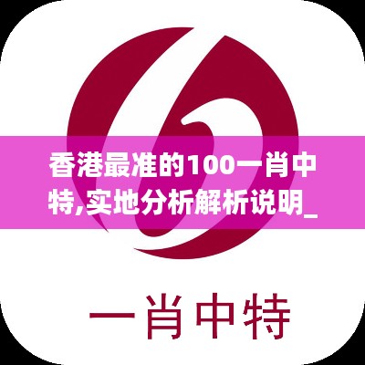 香港最准的100一肖中特,实地分析解析说明_FHD9.566