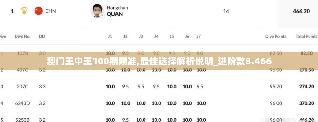 澳门王中王100期期准,最佳选择解析说明_进阶款8.466