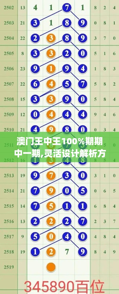 澳门王中王100%期期中一期,灵活设计解析方案_精装版8.182