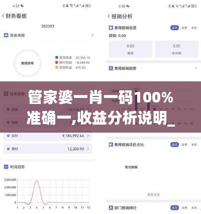 管家婆一肖一码100%准确一,收益分析说明_尊享版3.679