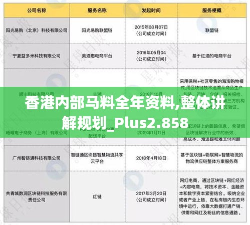 香港内部马料全年资料,整体讲解规划_Plus2.858