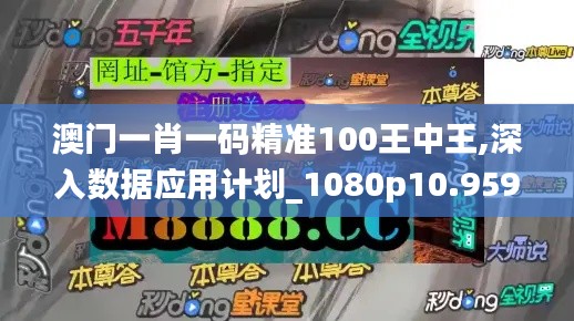 澳门一肖一码精准100王中王,深入数据应用计划_1080p10.959