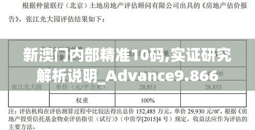 新澳门内部精准10码,实证研究解析说明_Advance9.866