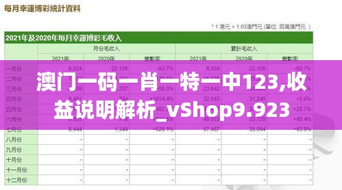 澳门一码一肖一特一中123,收益说明解析_vShop9.923