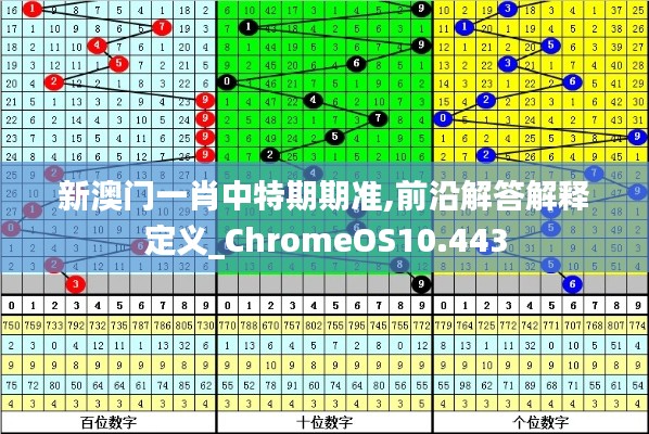 新澳门一肖中特期期准,前沿解答解释定义_ChromeOS10.443