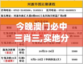 今晚澳门必中三肖三,实地分析解释定义_模拟版17.194