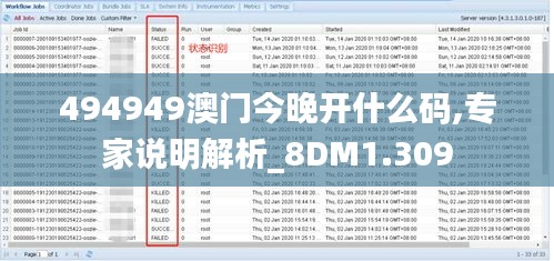 494949澳门今晚开什么码,专家说明解析_8DM1.309