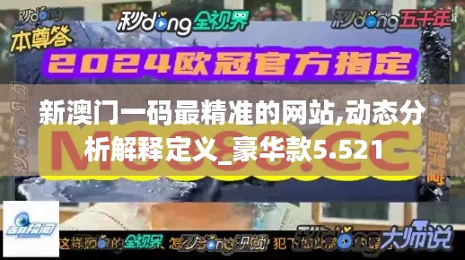 新澳门一码最精准的网站,动态分析解释定义_豪华款5.521