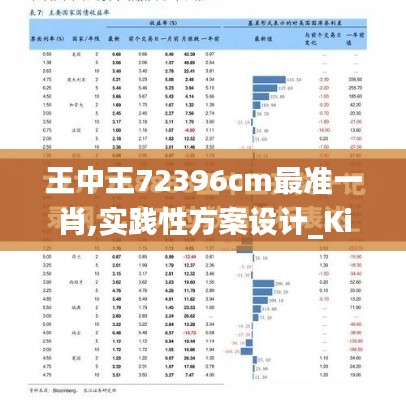 王中王72396cm最准一肖,实践性方案设计_Kindle7.345