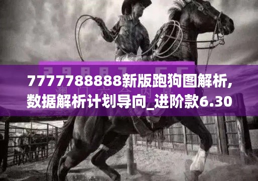 7777788888新版跑狗图解析,数据解析计划导向_进阶款6.300