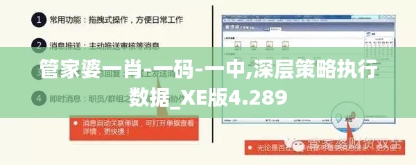 管家婆一肖-一码-一中,深层策略执行数据_XE版4.289