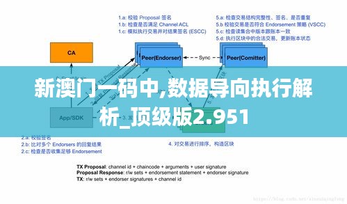 新澳门一码中,数据导向执行解析_顶级版2.951