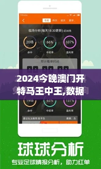 2024今晚澳门开特马王中王,数据支持策略解析_粉丝款6.884