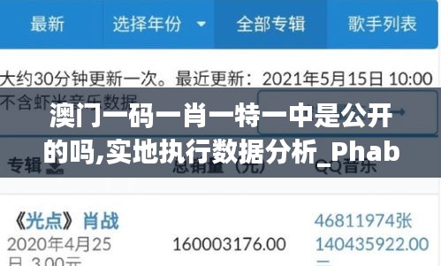 澳门一码一肖一特一中是公开的吗,实地执行数据分析_Phablet18.360