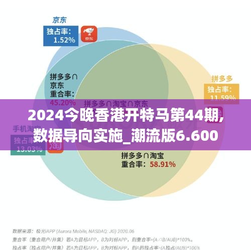 2024今晚香港开特马第44期,数据导向实施_潮流版6.600