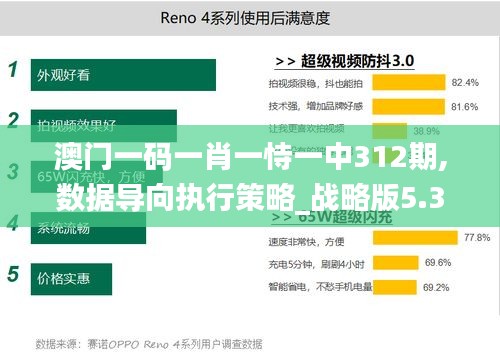 澳门一码一肖一恃一中312期,数据导向执行策略_战略版5.391