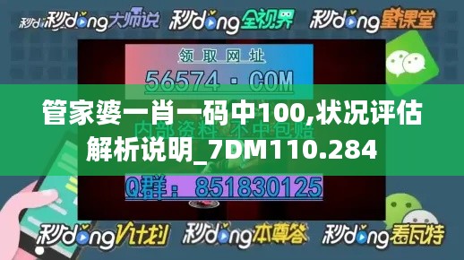 管家婆一肖一码中100,状况评估解析说明_7DM110.284