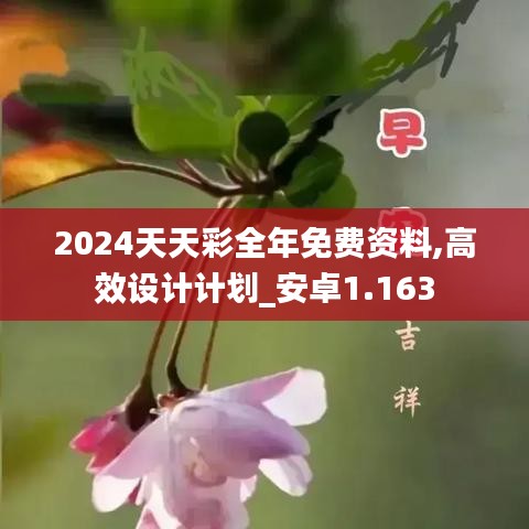 2024天天彩全年免费资料,高效设计计划_安卓1.163