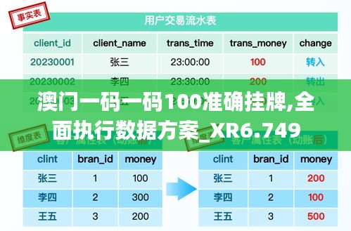 澳门一码一码100准确挂牌,全面执行数据方案_XR6.749