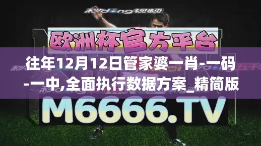 往年12月12日管家婆一肖-一码-一中,全面执行数据方案_精简版4.792