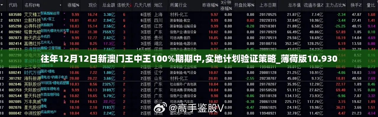 往年12月12日新澳门王中王100%期期中,实地计划验证策略_薄荷版10.930