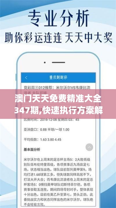 澳门天天免费精准大全347期,快速执行方案解答_限量款6.461