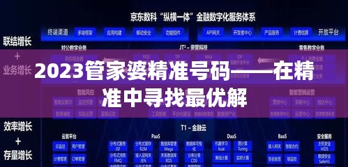 2023管家婆精准号码——在精准中寻找最优解