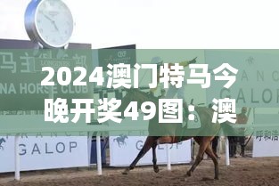 2024澳门特马今晚开奖49图：澳门特马开奖，赛马界的盛事