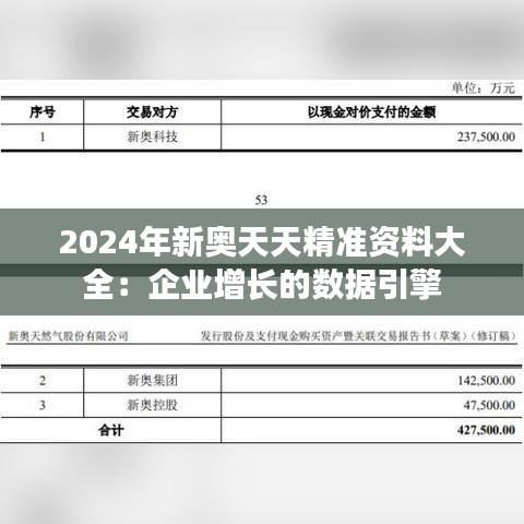 2024年新奥天天精准资料大全：企业增长的数据引擎