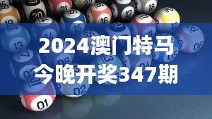 2024澳门特马今晚开奖347期开奖结果查询,实践研究解释定义_钻石版11.502