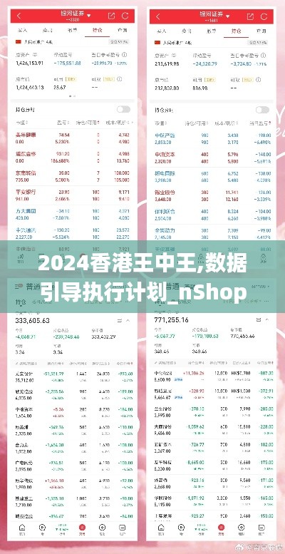 2024香港王中王,数据引导执行计划_nShop7.797