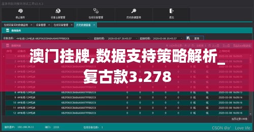 澳门挂牌,数据支持策略解析_复古款3.278