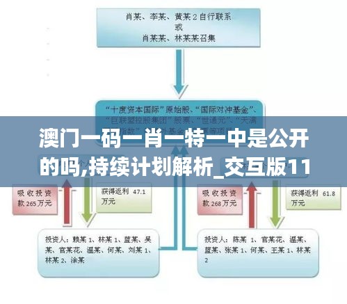 澳门一码一肖一特一中是公开的吗,持续计划解析_交互版11.589