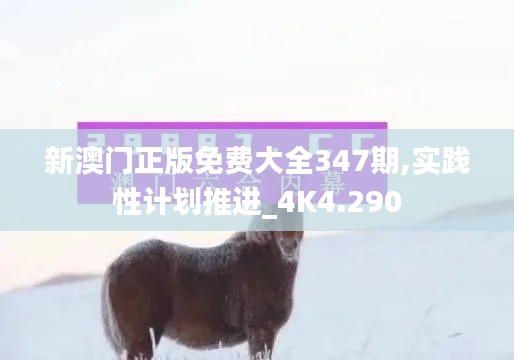 新澳门正版免费大全347期,实践性计划推进_4K4.290