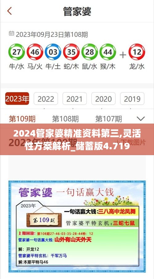 2024管家婆精准资料第三,灵活性方案解析_储蓄版4.719