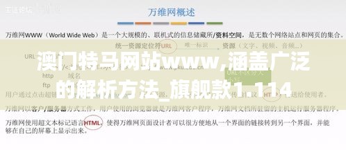 澳门特马网站www,涵盖广泛的解析方法_旗舰款1.114