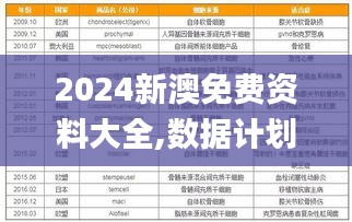 2024新澳免费资料大全,数据计划引导执行_C版10.505