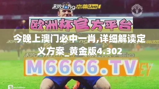 今晚上澳门必中一肖,详细解读定义方案_黄金版4.302