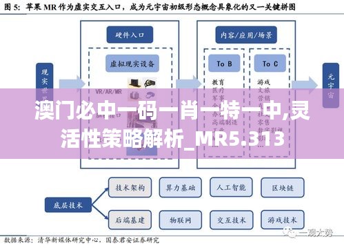 澳门必中一码一肖一特一中,灵活性策略解析_MR5.313