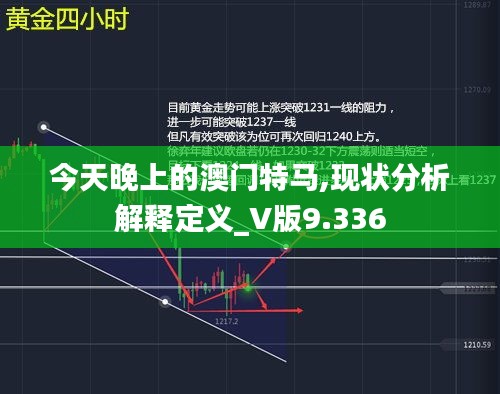 今天晚上的澳门特马,现状分析解释定义_V版9.336