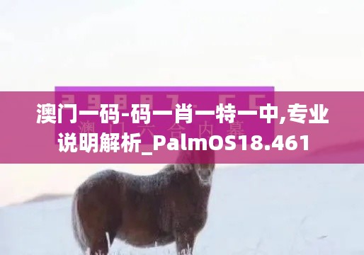 澳门一码-码一肖一特一中,专业说明解析_PalmOS18.461