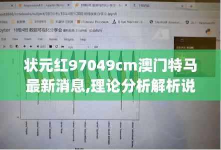 状元红97049cm澳门特马最新消息,理论分析解析说明_S18.452