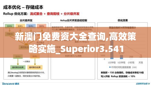 新澳门免费资大全查询,高效策略实施_Superior3.541