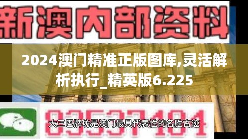 2024澳门精准正版图库,灵活解析执行_精英版6.225