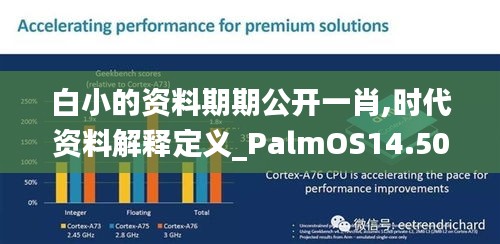 白小的资料期期公开一肖,时代资料解释定义_PalmOS14.505