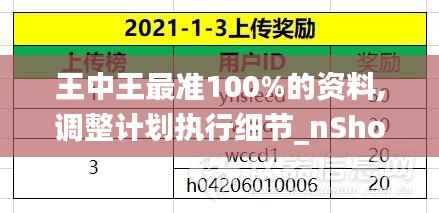 王中王最准100%的资料,调整计划执行细节_nShop7.261