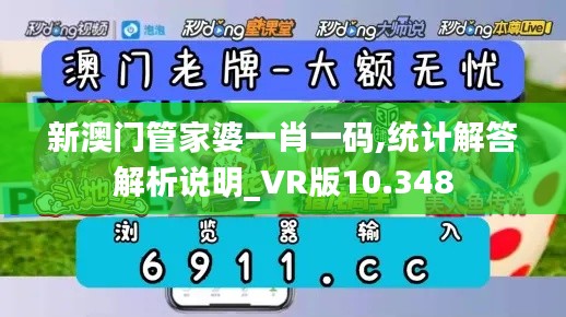 新澳门管家婆一肖一码,统计解答解析说明_VR版10.348