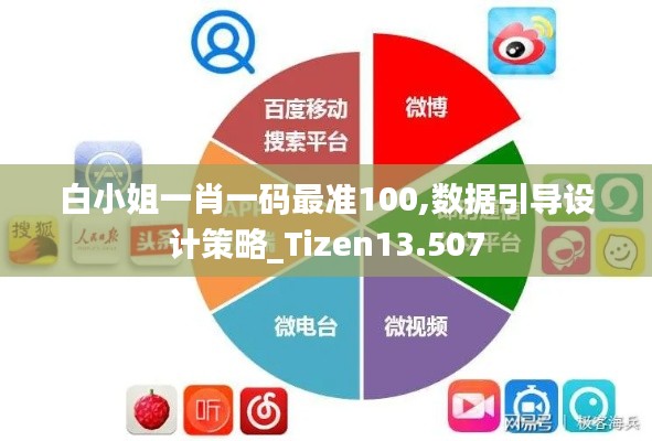 白小姐一肖一码最准100,数据引导设计策略_Tizen13.507