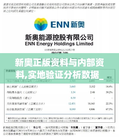 新奥正版资料与内部资料,实地验证分析数据_铂金版9.972