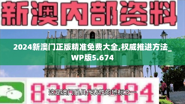 2024新澳门正版精准免费大全,权威推进方法_WP版5.674